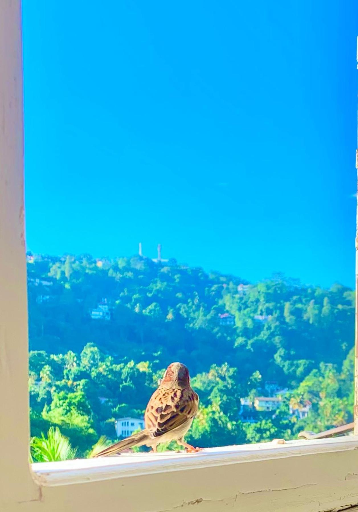 Gangula Villa Kandy Exteriör bild